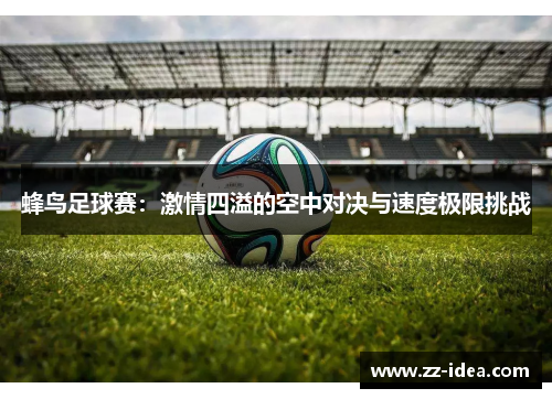 蜂鸟足球赛：激情四溢的空中对决与速度极限挑战