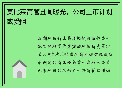 莫比莱高管丑闻曝光，公司上市计划或受阻